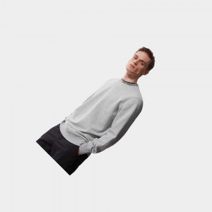 Sudadera The North Face Zumu Fleece Hombre Grises Claro | 79205-FOHJ