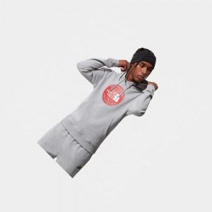 Sudadera con Capucha The North Face Circle Dome Hombre Grises Claro | 35612-ZKNM