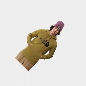 Sudadera con Capucha The North Face Drew Peak Hombre Verdes | 08796-UOZE