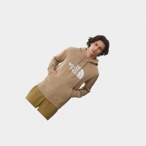 Sudadera con Capucha The North Face Drew Peak Hombre Marrom | 05346-KWAO