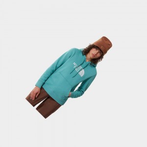 Sudadera con Capucha The North Face Drew Peak Mujer Azules | 93621-YLKQ