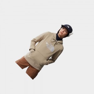 Sudadera con Capucha The North Face Drew Peak Mujer Marrom Claro | 12047-ENYH