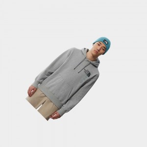 Sudadera con Capucha The North Face Expedition Graphic Hombre Grises | 30568-BKRT