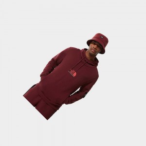 Sudadera con Capucha The North Face Fine Alpine Hombre Rojos | 38925-HJAG
