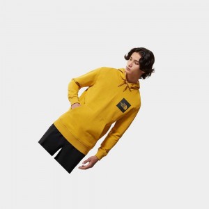 Sudadera con Capucha The North Face Fine Hombre Amarillos | 50617-VTLQ
