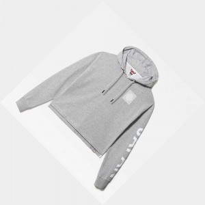Sudadera con Capucha The North Face International Mujer Grises Claro | 54671-ESVY