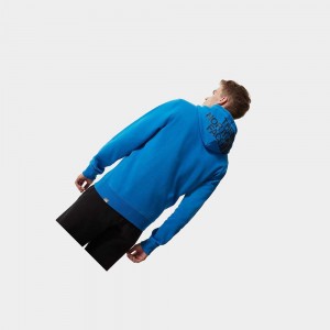 Sudadera con Capucha The North Face Seasonal Drew Peak Hombre Azules | 60385-JZNK