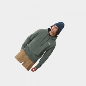 Sudadera con Capucha The North Face Seasonal Drew Peak Hombre Verdes | 23751-SRAO