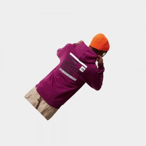 Sudadera con Capucha The North Face Slice Hombre Morados | 35217-YTWC