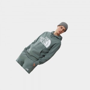 Sudadera con Capucha The North Face Standard Hombre Verdes | 32719-OFAM