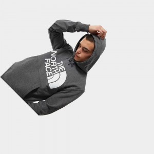 Sudadera con Capucha The North Face Standard Hombre Grises | 06781-RBZL