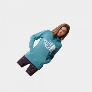 Sudadera con Capucha The North Face Standard Mujer Azules | 63052-PHLV