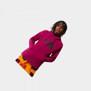 Sudadera con Capucha The North Face Tekno Logo Hombre Rosas | 46078-PEFJ