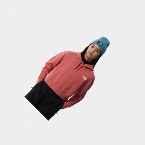 Sudadera con Capucha The North Face Trend Cropped Fleece Mujer Rosas | 86250-IWUT