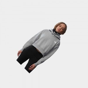 Sudadera con Capucha The North Face Trend Cropped Fleece Mujer Grises Claro | 23685-DPVE
