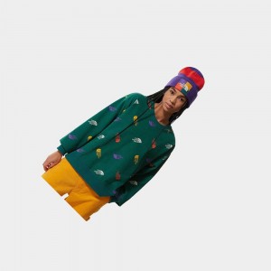Suéteres The North Face Colour Block Cropped Mujer Verdes | 24708-GTZQ