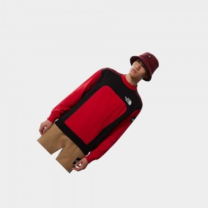 Suéteres The North Face Mtn Archives Cut & Sew Hombre Rojos | 84096-GLWQ
