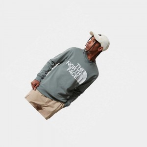 Suéteres The North Face Standard Hombre Verdes | 58132-GRDE
