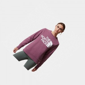 Suéteres The North Face Standard Mujer Morados | 83456-KZOY