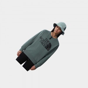 Suéteres The North Face Standard Mujer Verdes | 25379-EGMD