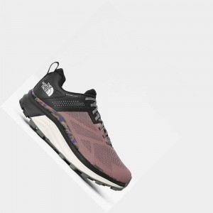 Tenis Trail Running The North Face Vectiv™ Futurelight™ Enduris Limited Edition Mujer Rosas Negros | 27610-VQFL