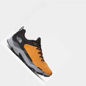 Tenis de Senderismo The North Face Vectiv™ Futurelight™ Exploris Leather Hombre Amarillos Negros | 93851-CGAH